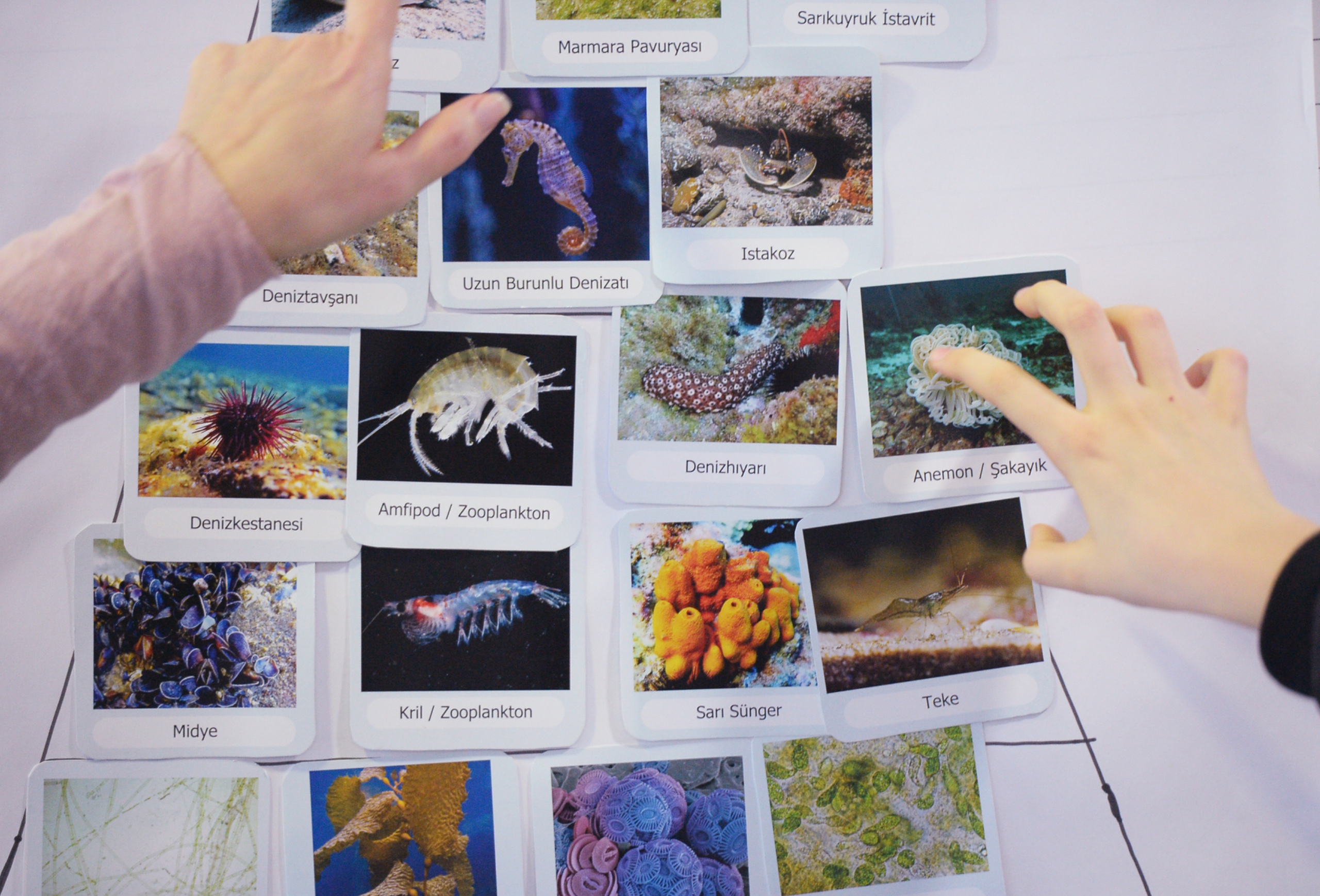 Borusan Contemporary ve Yuvam Dünya  iş birliğiyle kamu programları